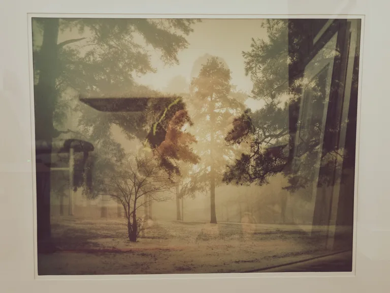 Framed Foggy Trees Photograph (25" * 31") image indicator(2)