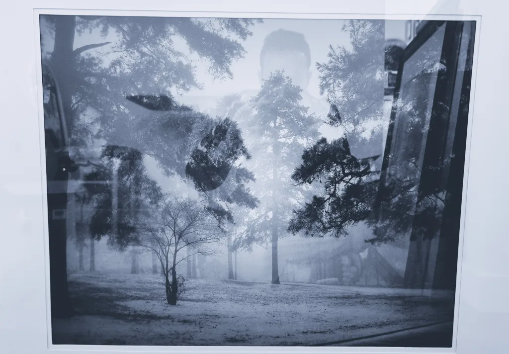 Framed Foggy Trees Photograph (25" * 31") image indicator(3)