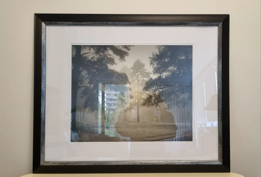 Framed Foggy Trees Photograph (25" * 31") image indicator(4)