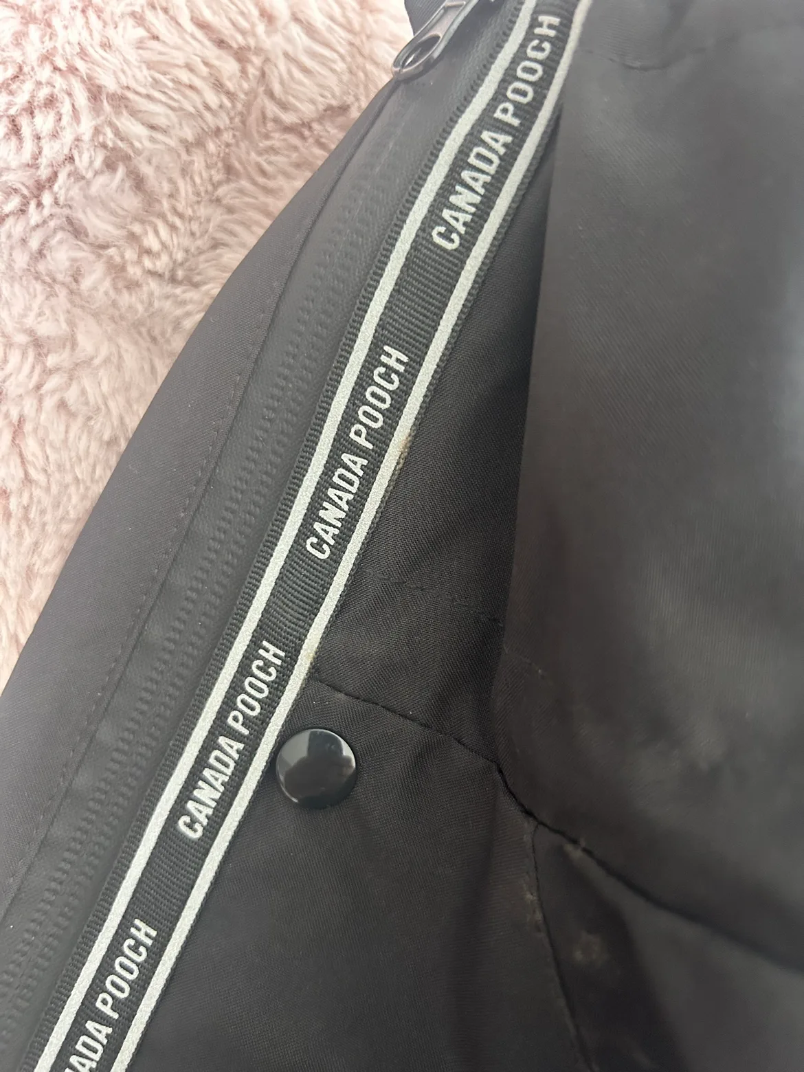 Dog clothing for Winter ❄️ Season!! image indicator(3)