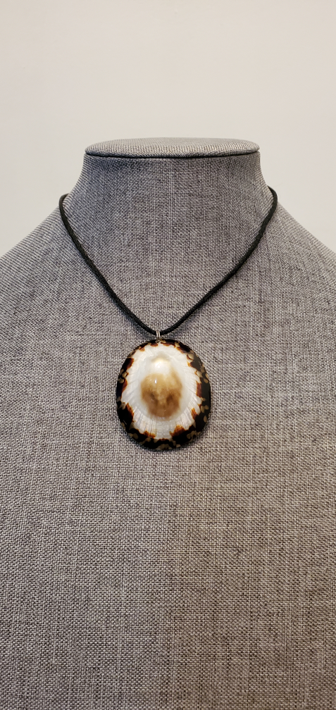 Shell Necklace