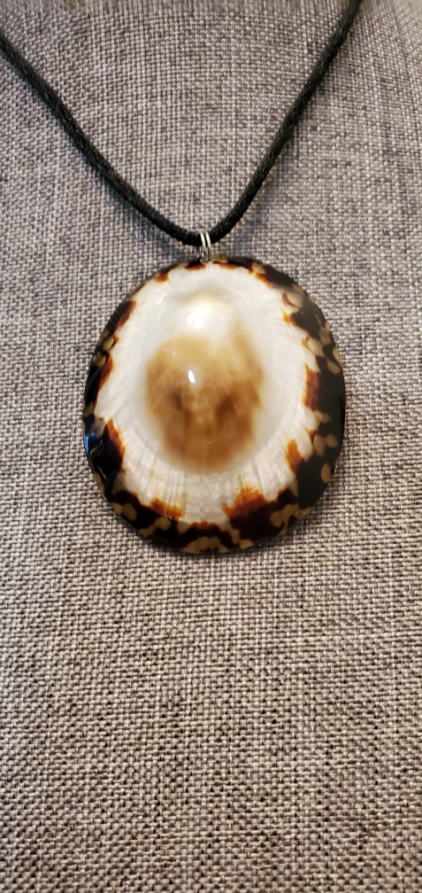 Shell Necklace - photo 2