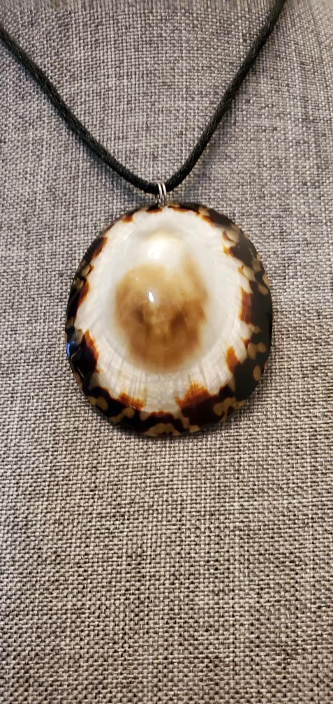 Shell Necklace image indicator(2)