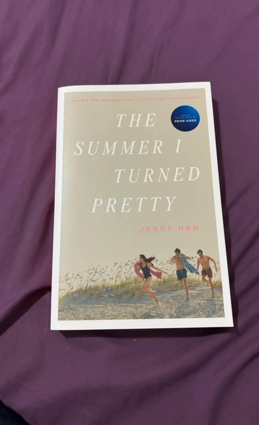 The Summer I Turned Pretty & It's Not Summer Without You Book - photo 2