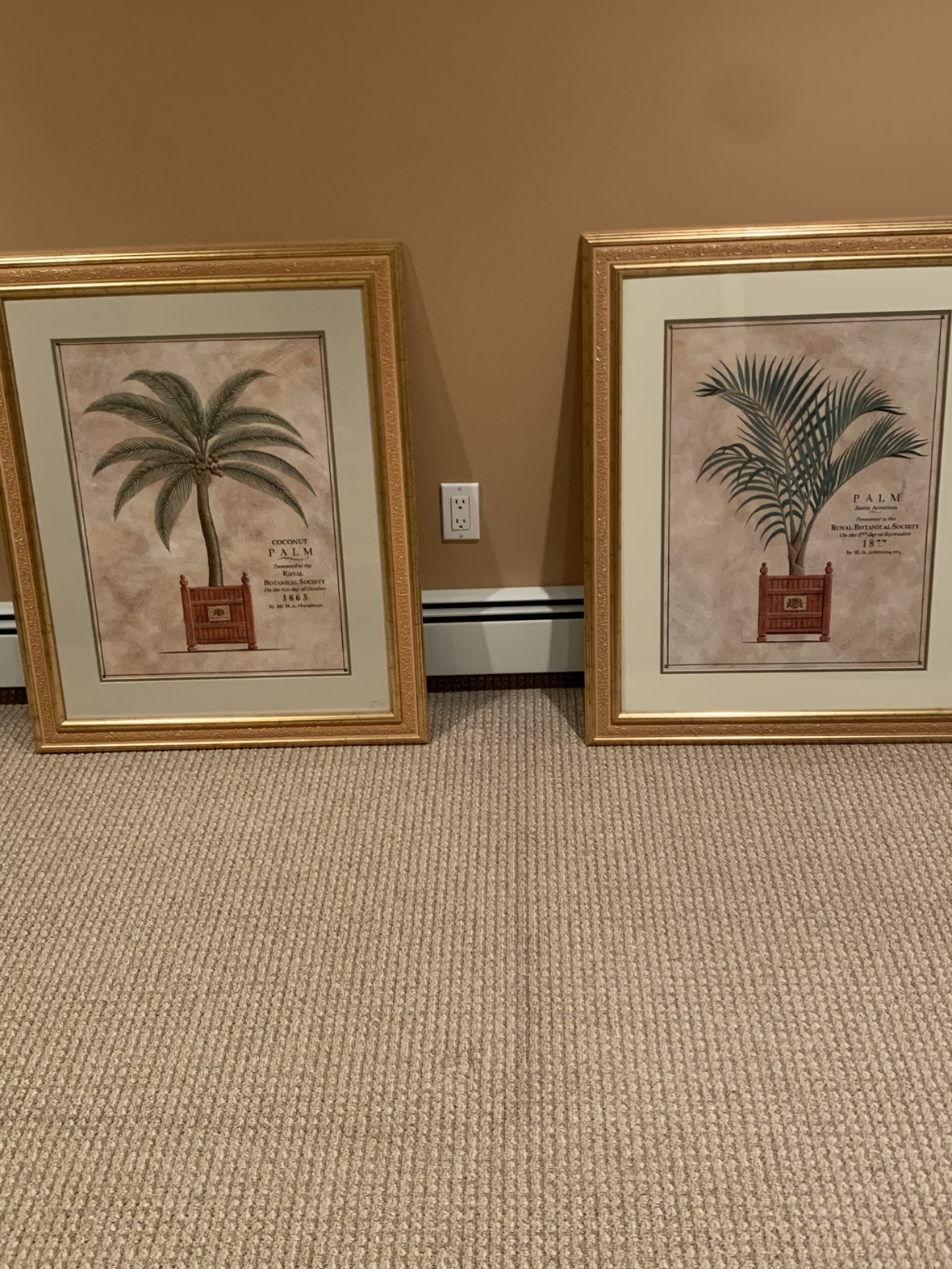 Pair of Framed Botanical Prints