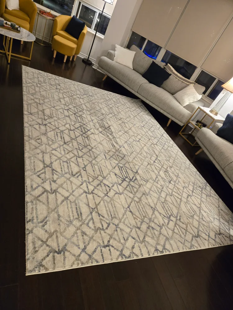 Geometric Area Rug thumbnail