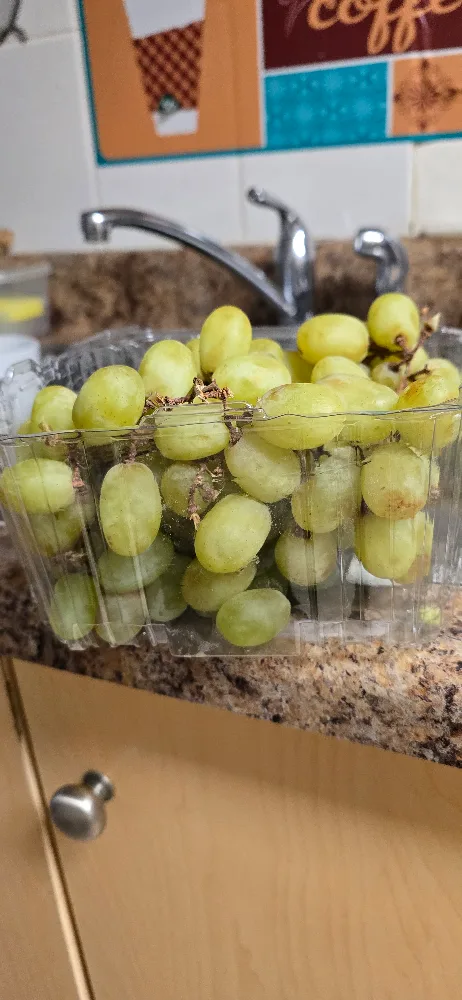 Green Grapes thumbnail