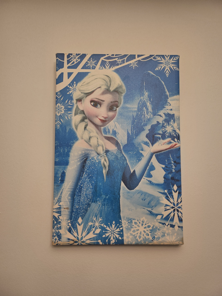 Frozen Canvas Wall Art - photo 2