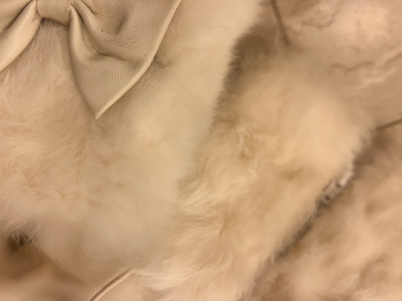 White Fur Trimmed Ankle Boots - photo 4