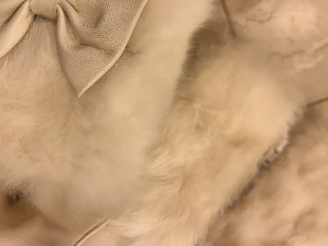 White Fur Trimmed Ankle Boots image indicator(4)