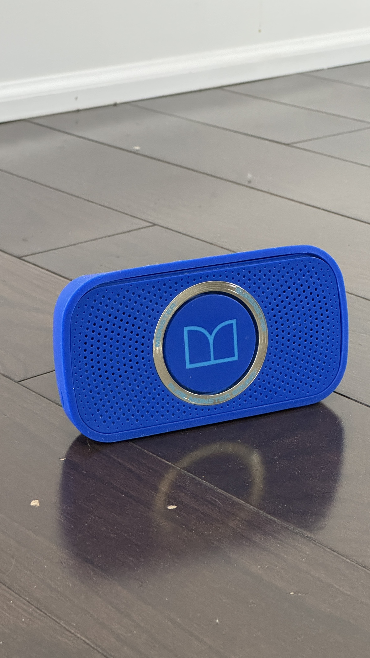 Monster iSport Wireless Bluetooth Speaker