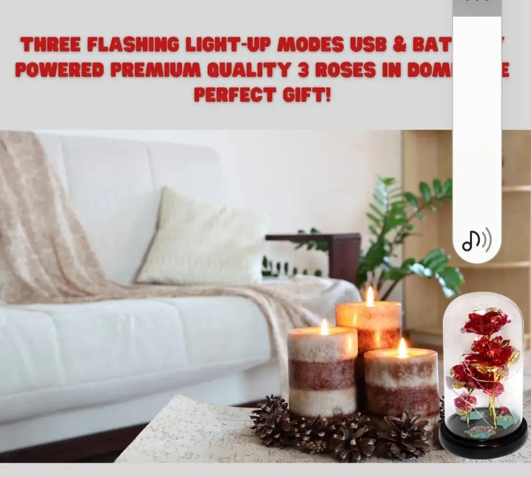 3 Foil Roses in Glass Dome, Blinking Light up Rotating image indicator(3)