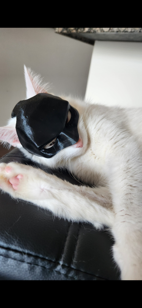 Cat Batman Mask - photo 3