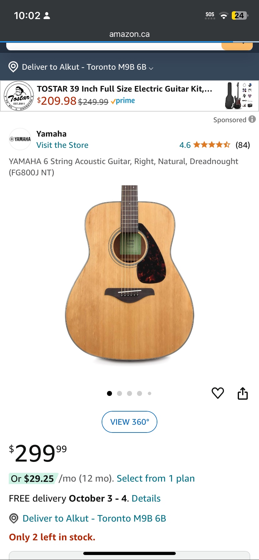 Mr. Bernard Acoustic Guitar