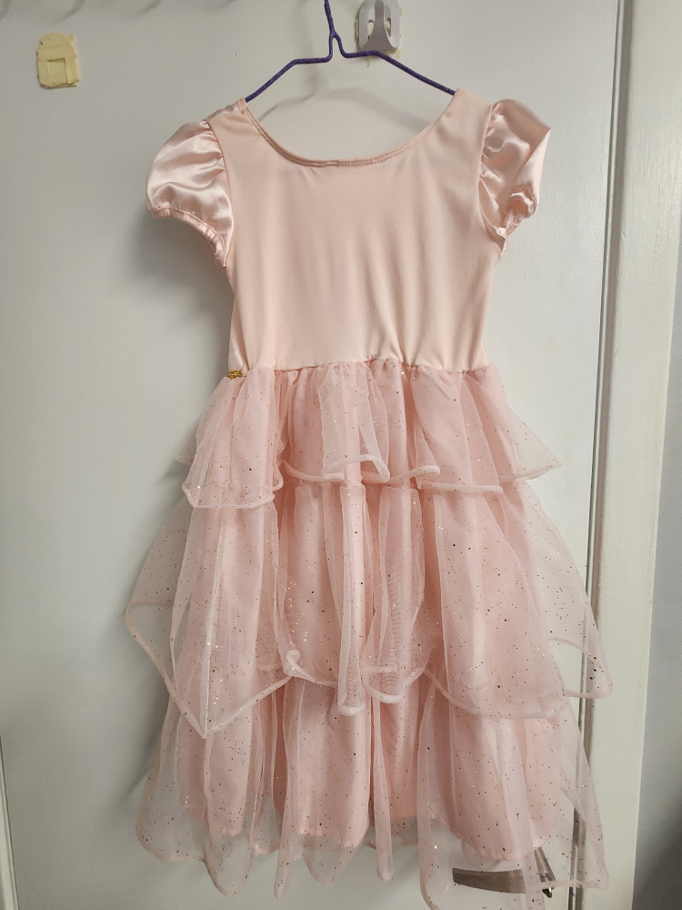 Size 5T Sleeping Beuty Costume - photo 2