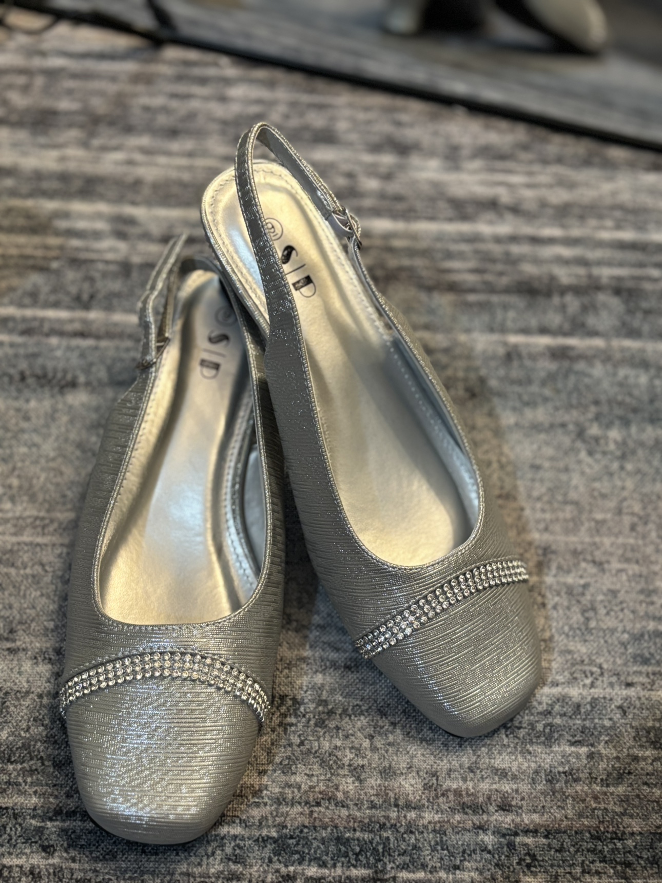 Silver Slingback Shoes