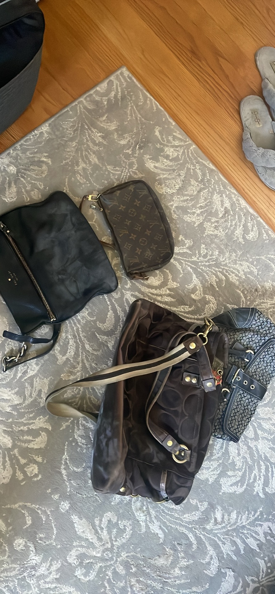 Coach Handbags & Louis Vuitton