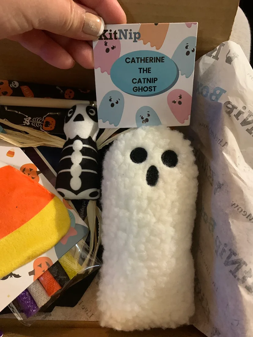 ‼️MUST-GO‼️ declutter - KitNipBox Halloween Cat Box image indicator(6)
