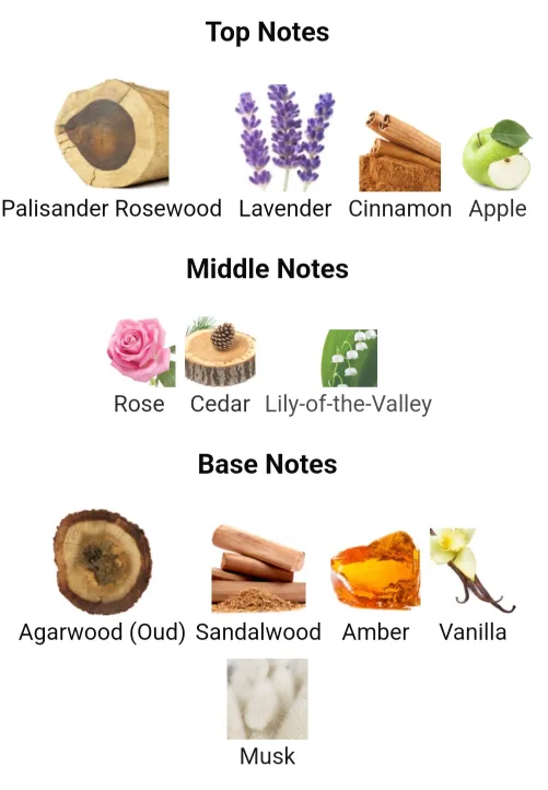 Xerjoff Alexandria II Men's/Women's Parfum image indicator(9)