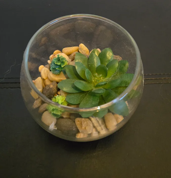 Artificial Succulent in Glass Globe thumbnail