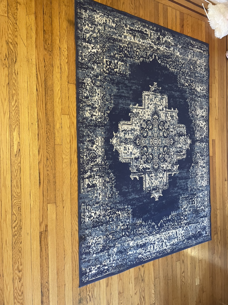 Nourison Grafix Collection Rug - photo 3