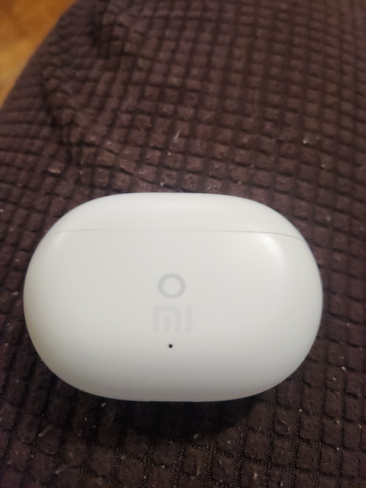 Mi True Wireless Earbuds