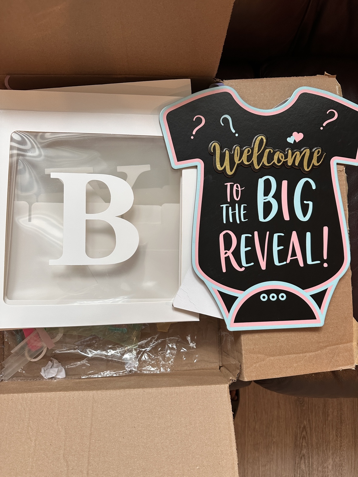 Gender Reveal Party Decorations - photo 3