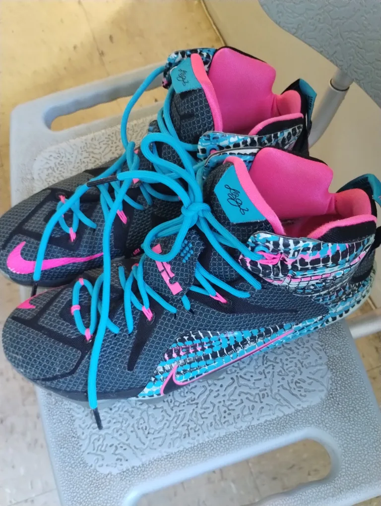 Nike LeBron Soldier 10 image indicator(2)