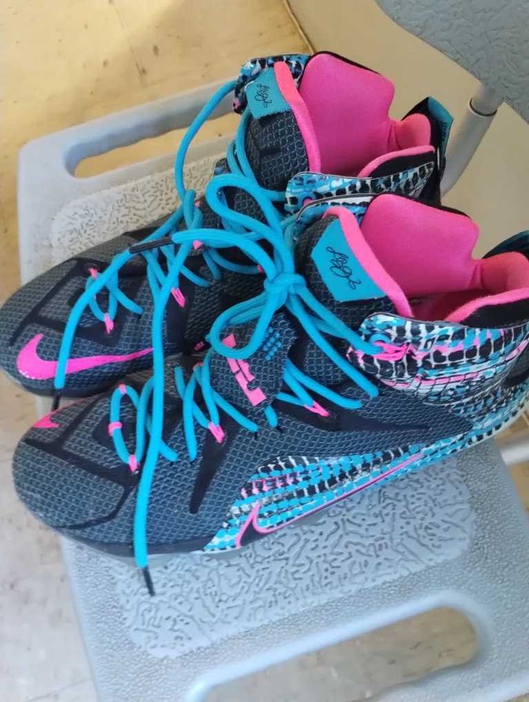 Nike LeBron Soldier 10 image indicator(3)