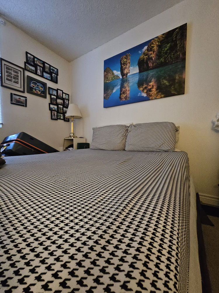 FREE Queen Mattress, Box spring & Metal foundation