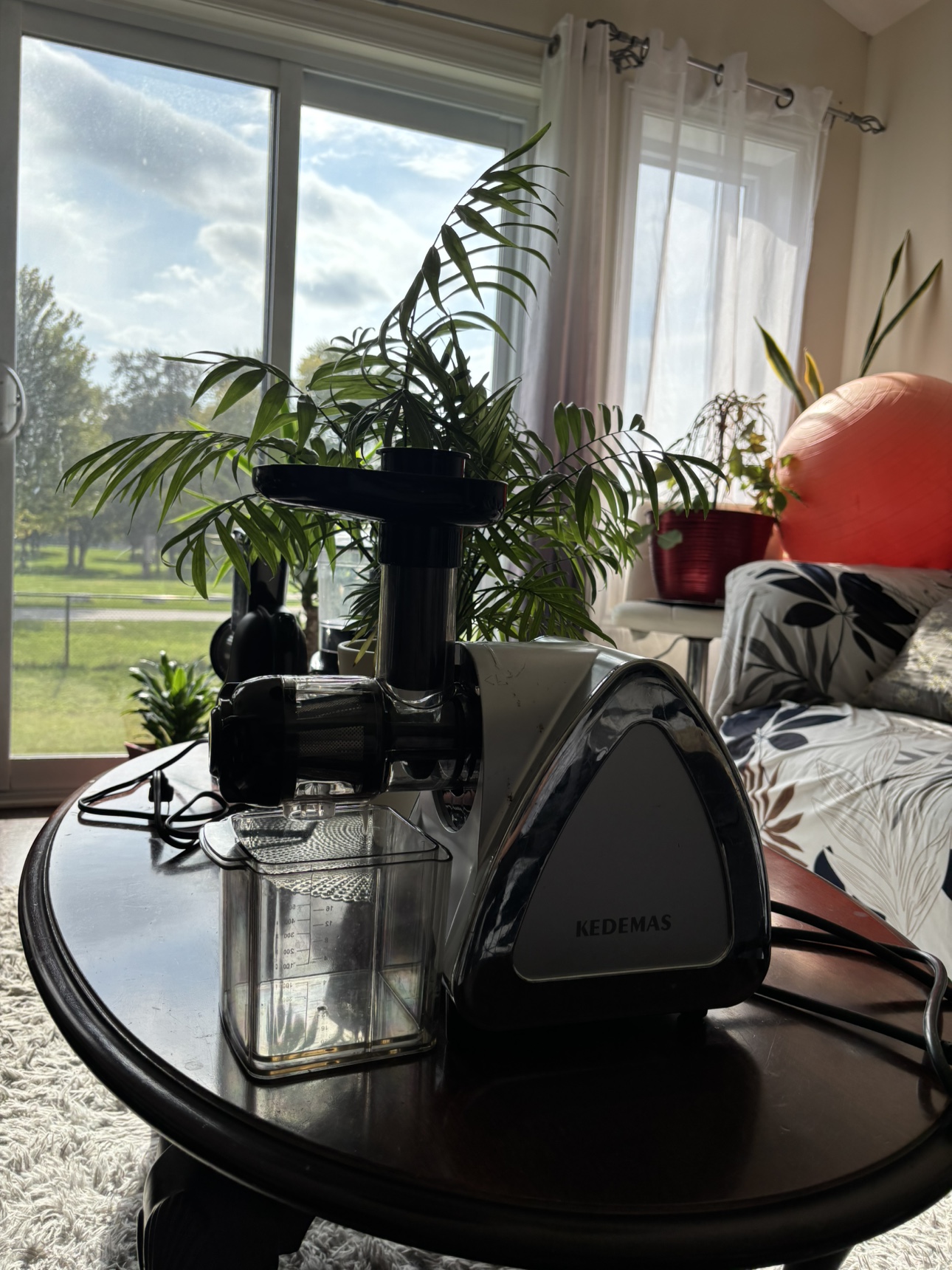 KEDEMAS Cold Press Juicer - photo 2