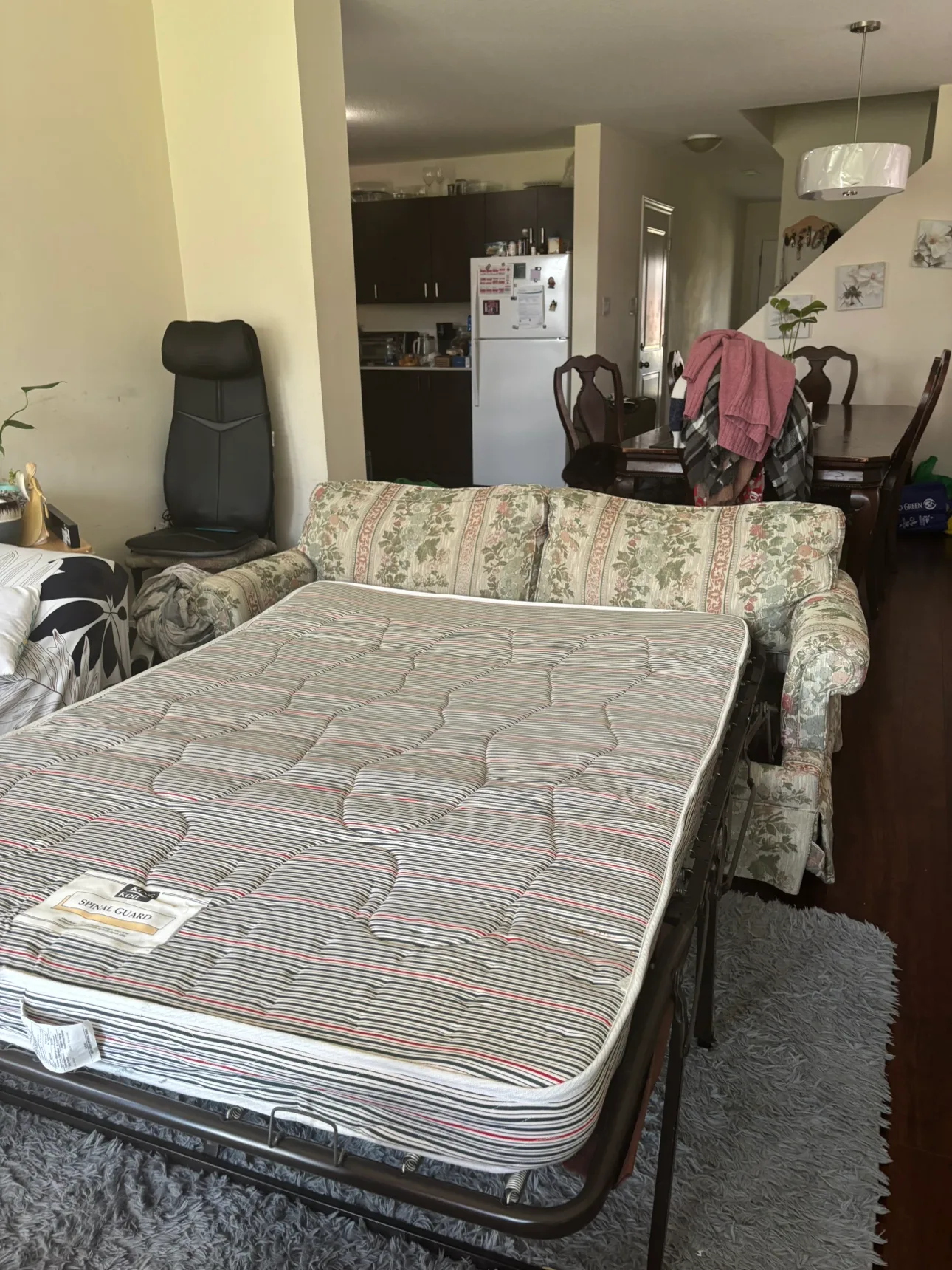 Free Floral Sofa Bed image indicator(2)