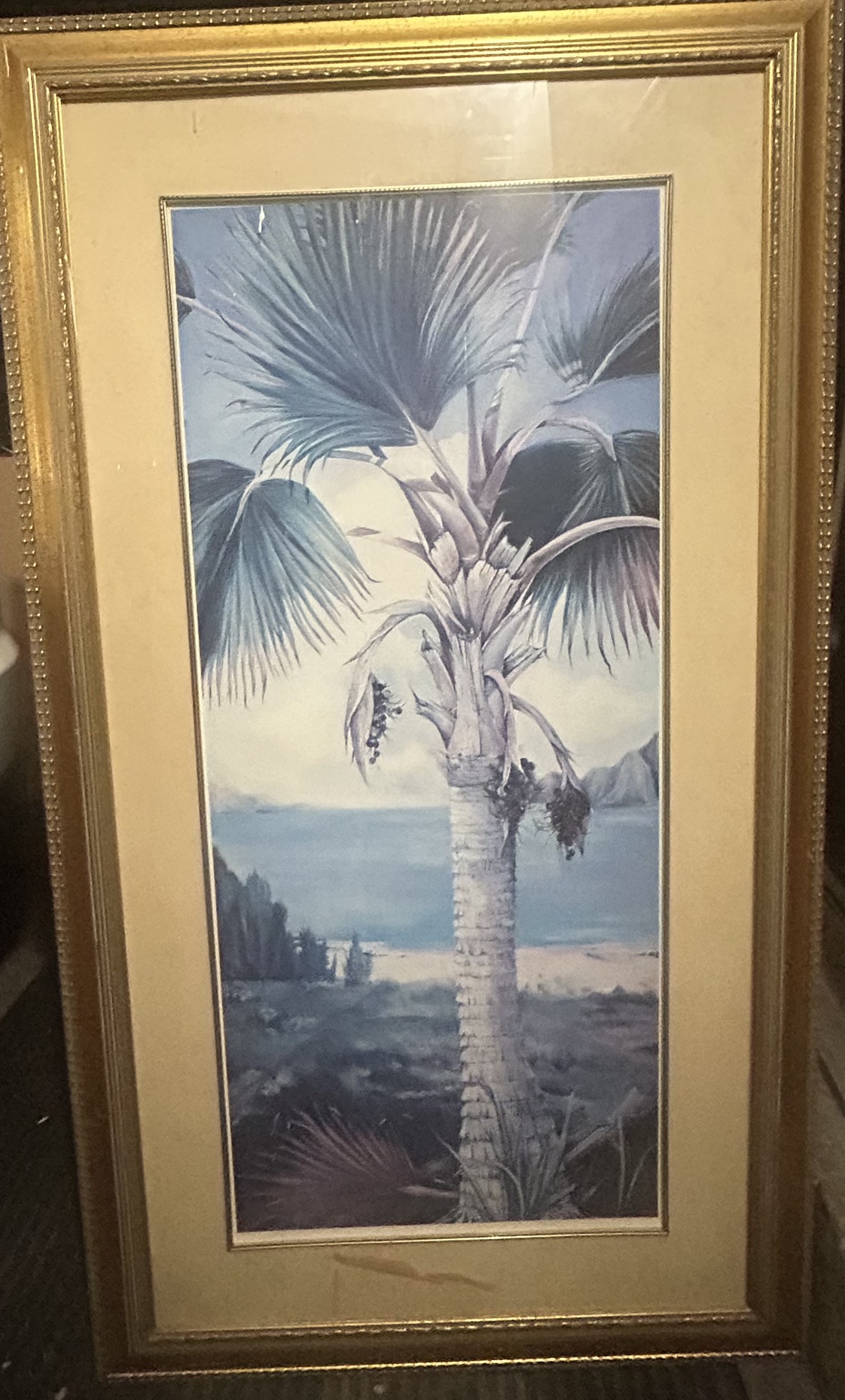 Framed Palm Tree Print
