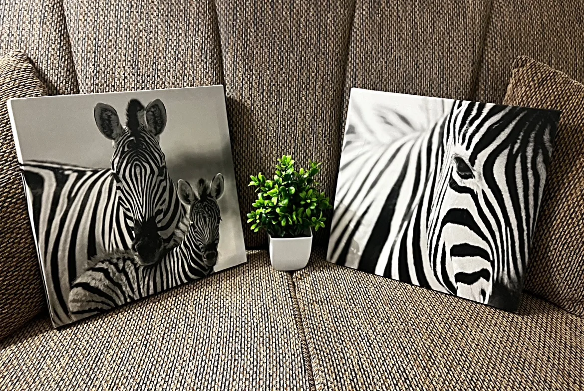 Zebra Canvas Wall Art image indicator(6)