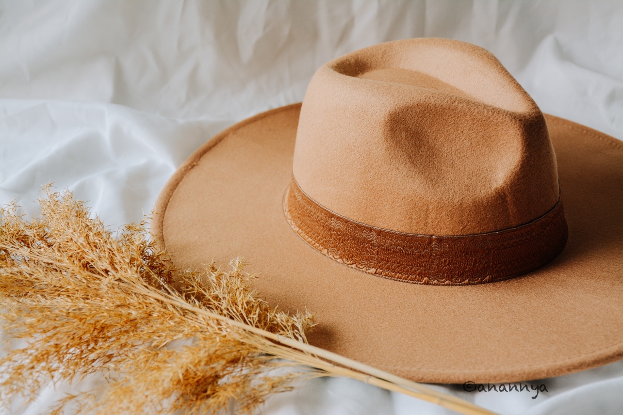Brown Fedora Hat