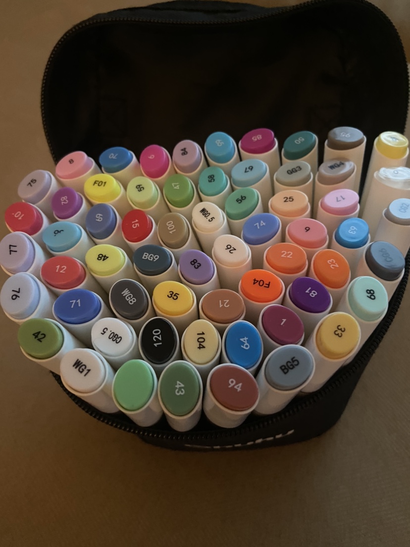 Ohuhu Art Markers 61 Colors Set