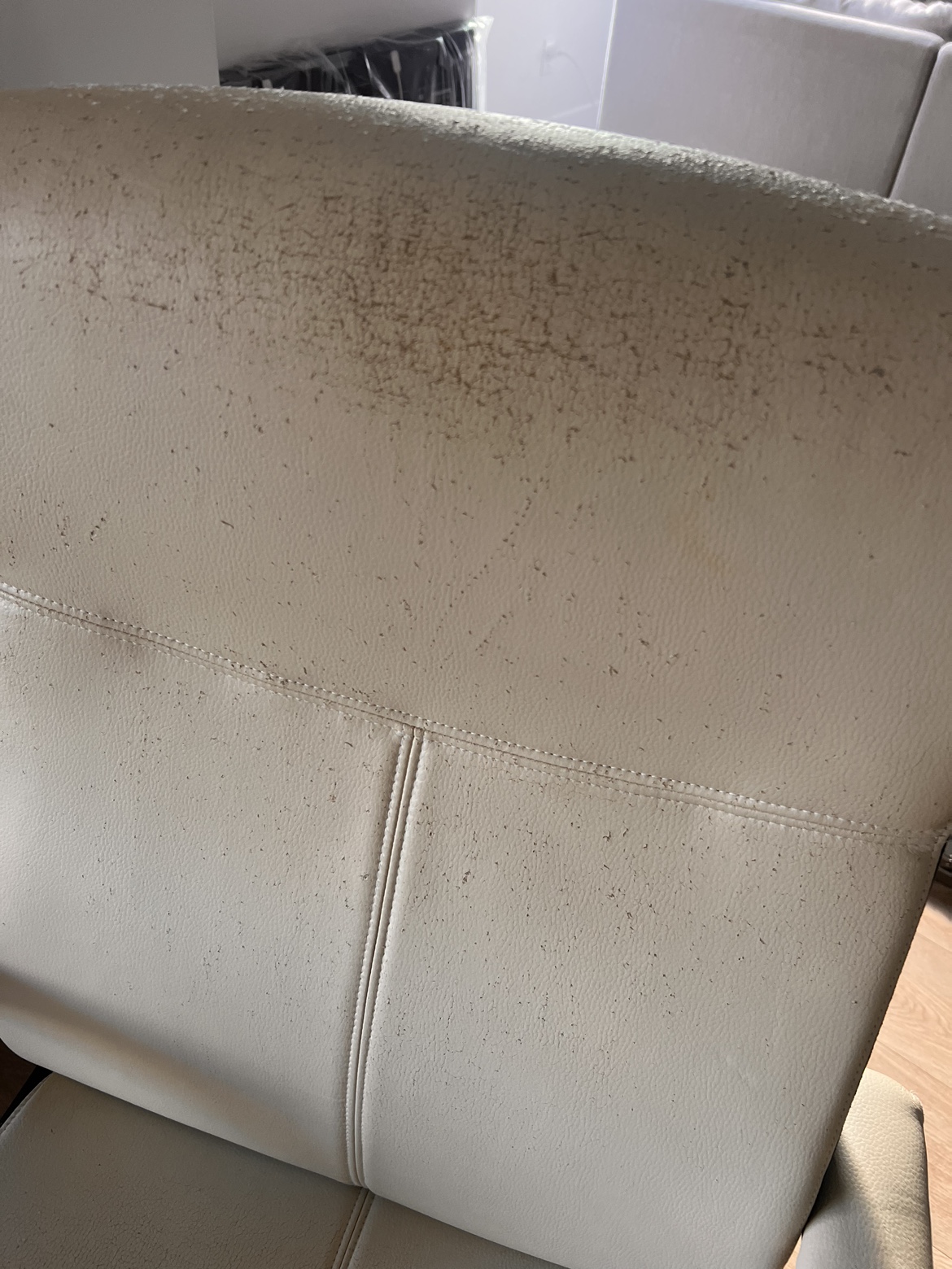 Office Chair #freecycle - photo 2