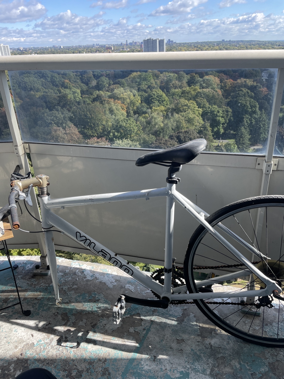 Vilano Road Bike (frame with 1 back wheel)