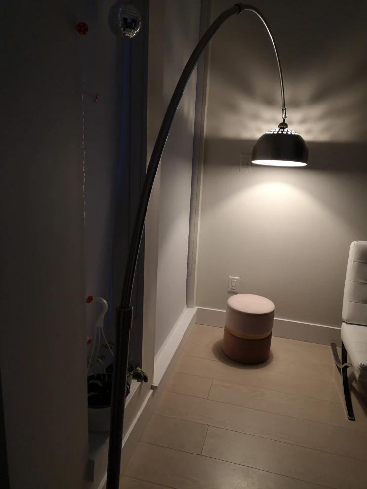 Arc Floor Lamp - photo 4