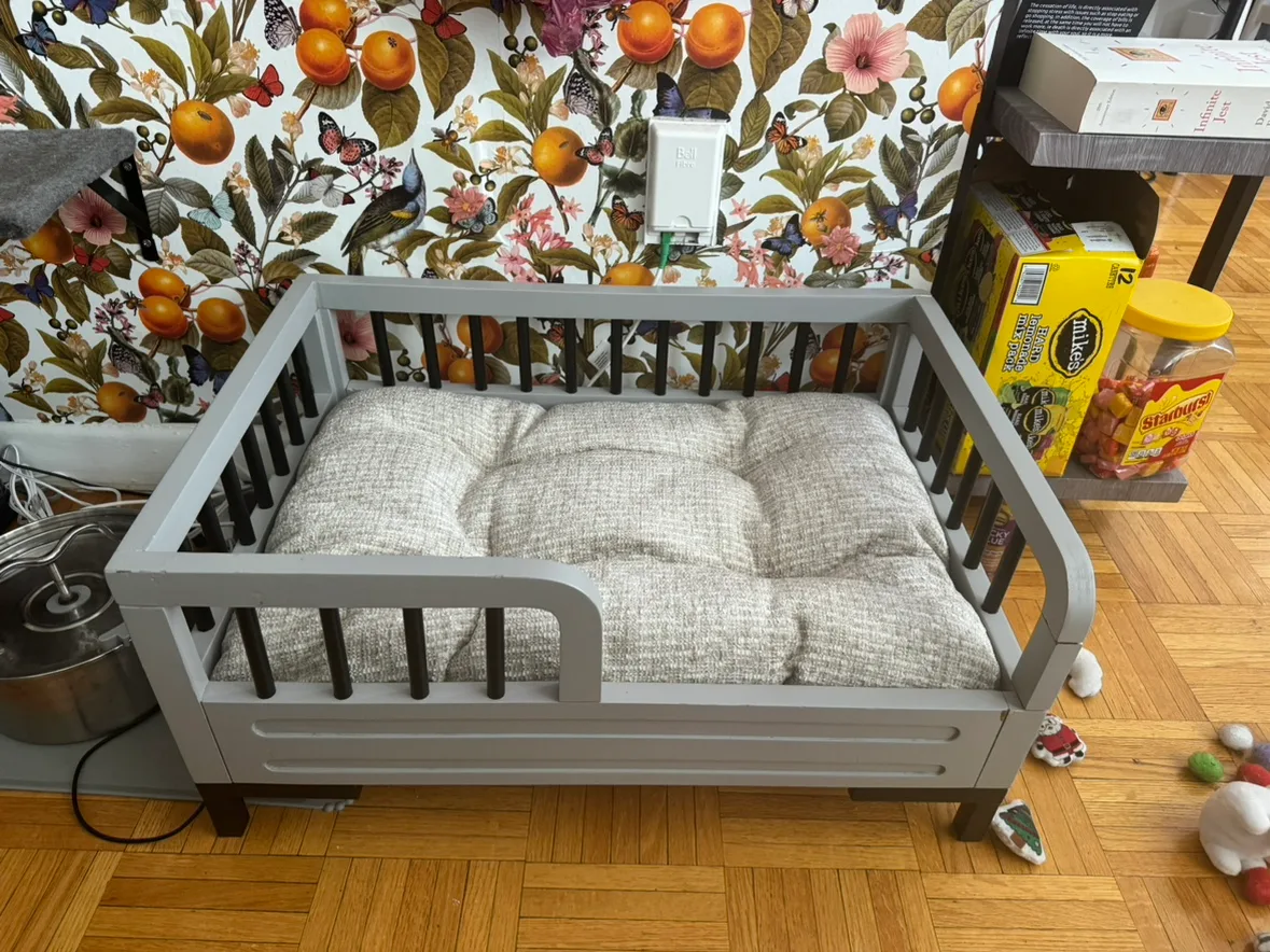 Pet bed and cushion from Homesense thumbnail