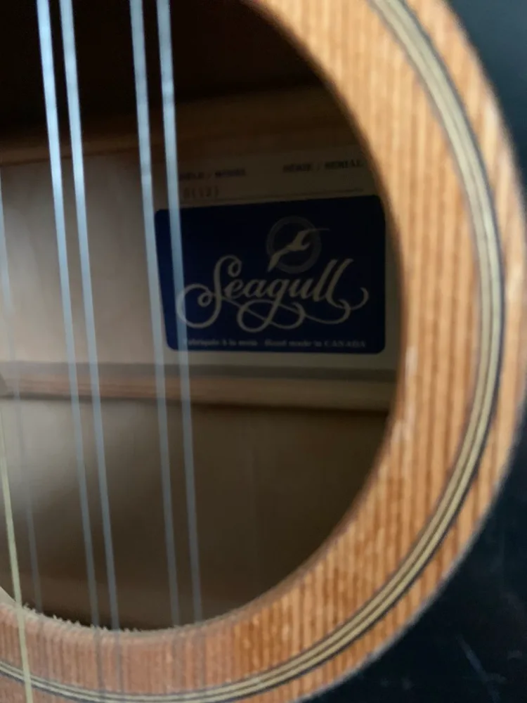Seagull 12 String Acoustic Guitar and stand image indicator(2)