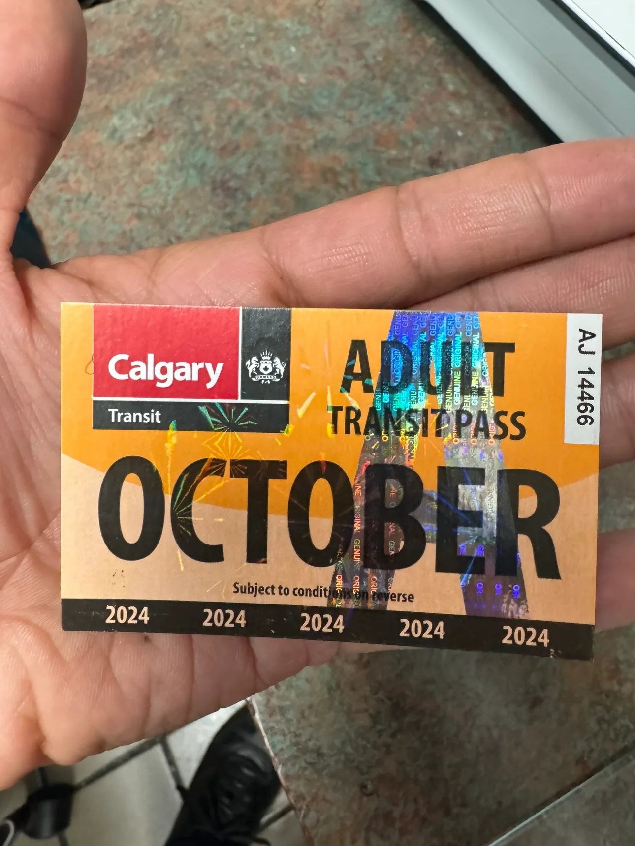 Calgary Transit Adult Pass (October 2024) thumbnail