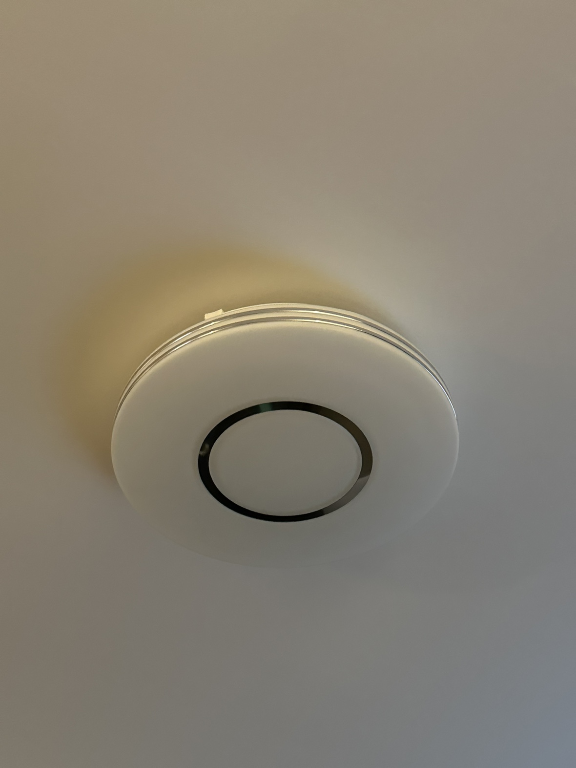 Round Ceiling Light Fixture - photo 3