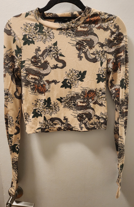 Streetwear Society Dragon Print Long Sleeve Crop Top