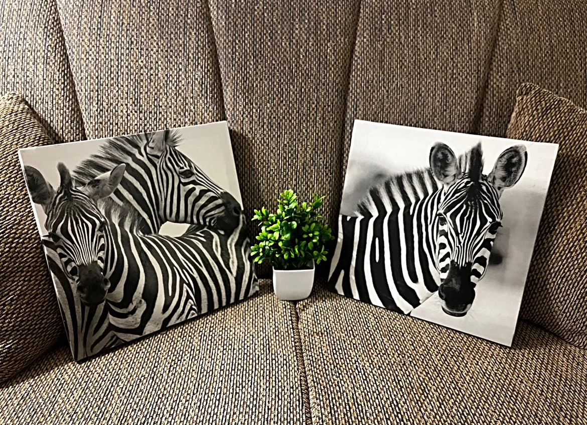 Zebra Canvas Wall Art image indicator(3)