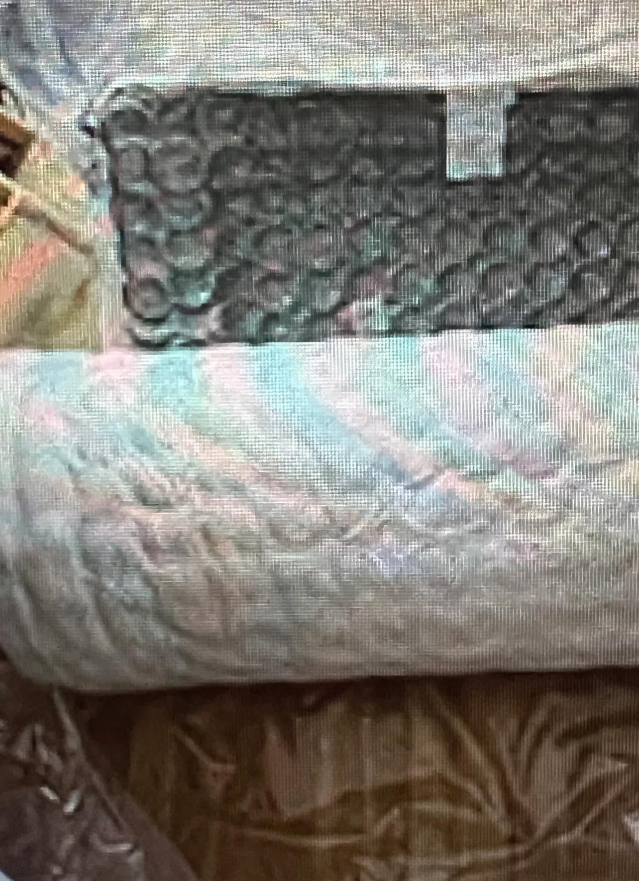 Bedstory Twin 12” Hybrid Mattress image indicator(3)