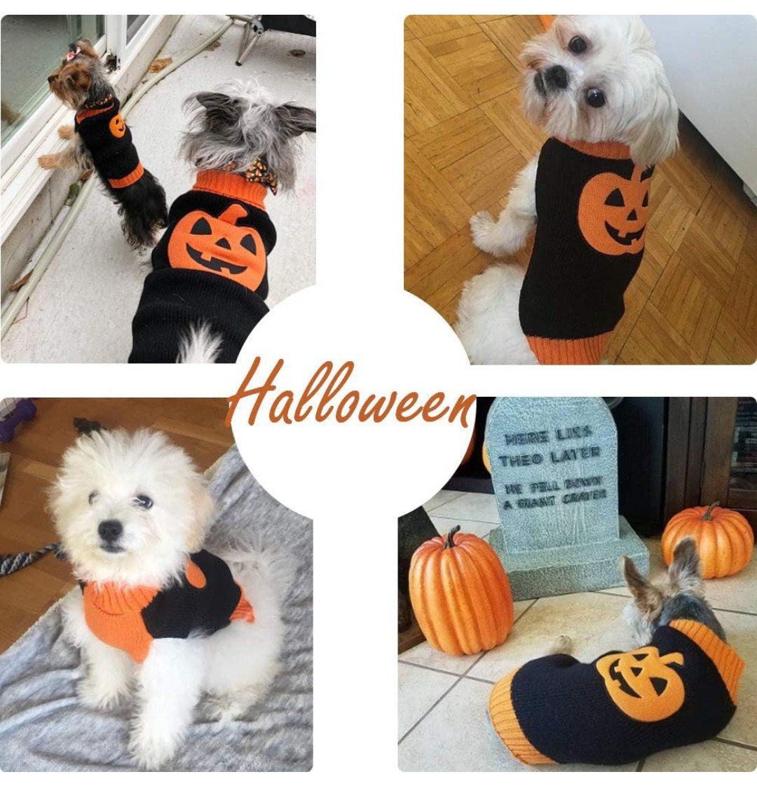 NEW!   Pumpkin Dog Sweater