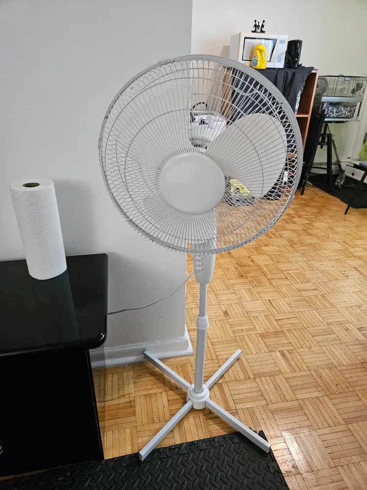 Standing Fan thumbnail