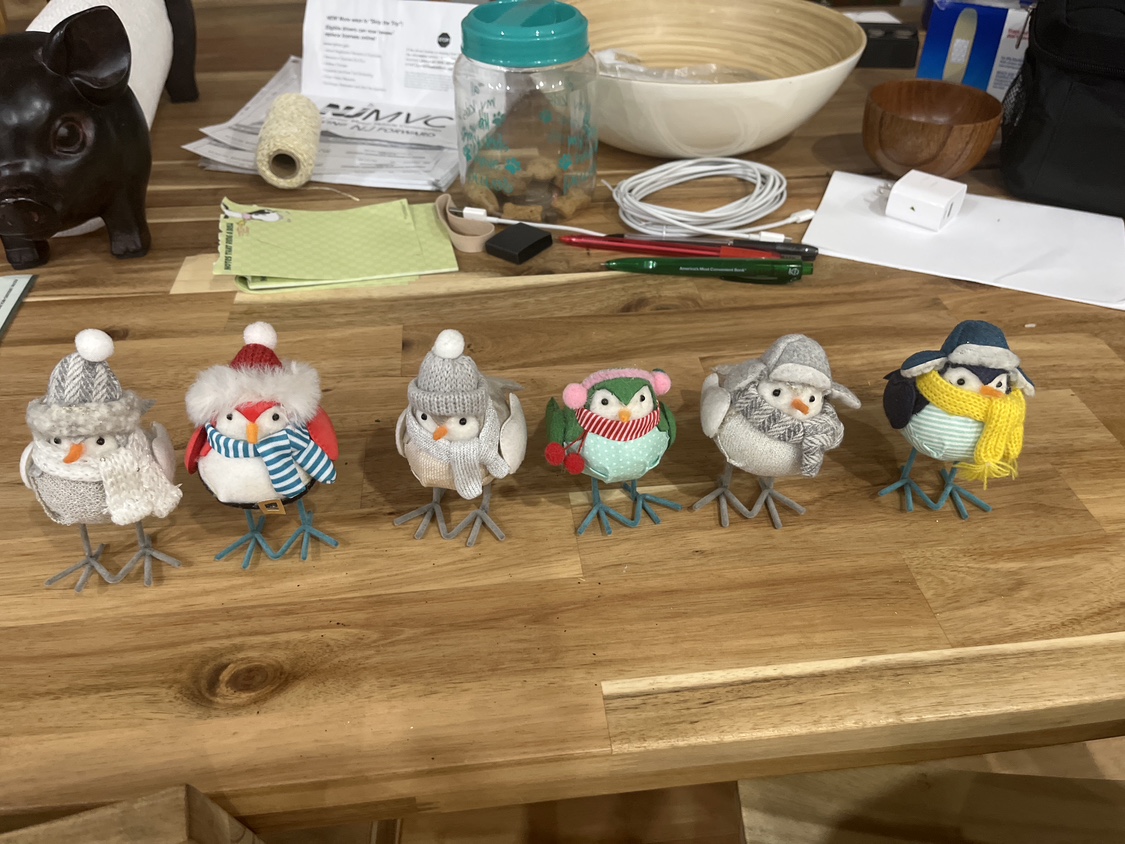 Set of 6 Winter Birds