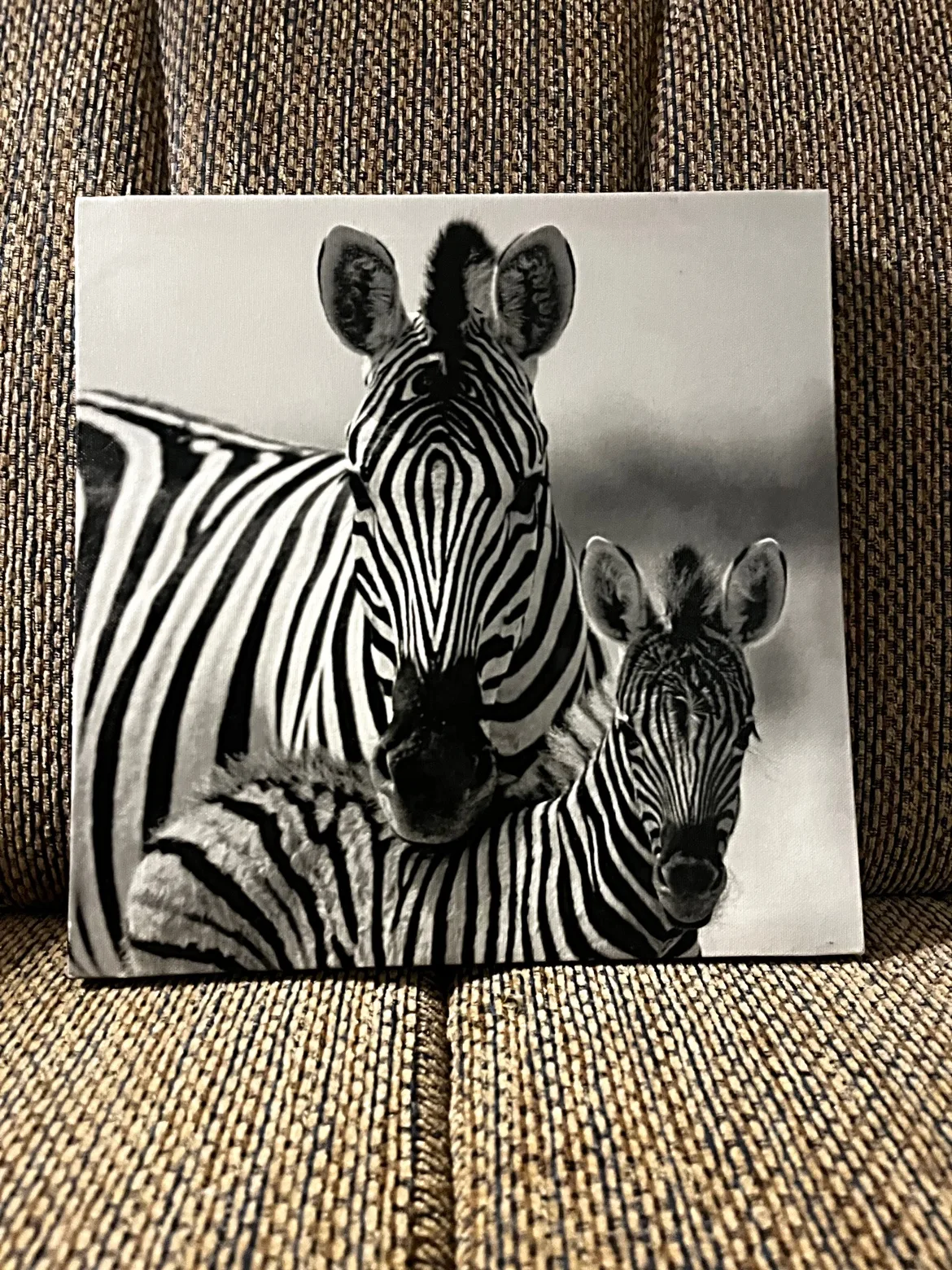 Zebra Canvas Wall Art image indicator(8)